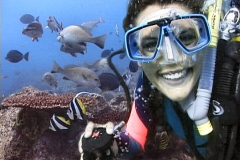 3-Hour Byron Bay Certified Scuba Diving Tour - Pubs Melbourne 5
