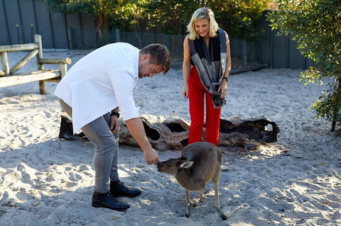 Albany's Whale Story - Pubs Melbourne 1