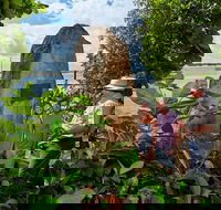 3 Day Cape Tribulation  Cooktown Tour from Cairns or Port Douglas - Pubs Melbourne