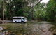3 Day Cape Tribulation & Cooktown Tour From Cairns Or Port Douglas - thumb 3
