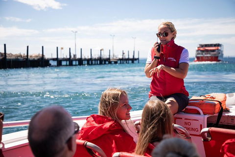 Adventure Rottnest Tour With Ferry & Adventure Cruise From Perth Or Fremantle - Pubs Melbourne 4