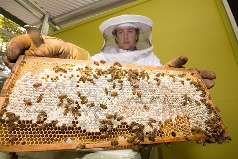 The Ginger Factory Play, Taste & Discover Bundle Admission Ticket - Pubs Melbourne 2