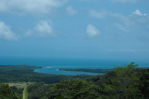 Cape Tribulation, Daintree Rainforest And Wildlife Tour - Pubs Melbourne 1