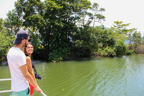 Cape Tribulation, Daintree Rainforest And Wildlife Tour - Pubs Melbourne 2