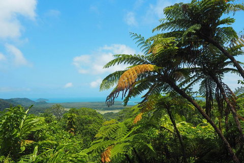 Cape Tribulation, Daintree Rainforest And Wildlife Tour - Pubs Melbourne 3