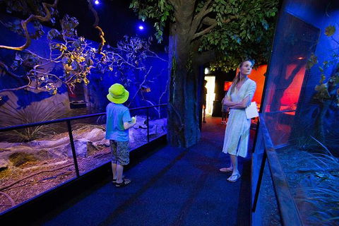 Wildlife Habitat Port Douglas - Pubs Melbourne 4