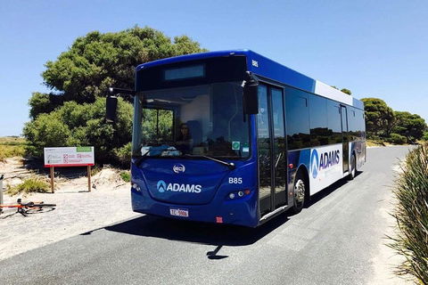Rottnest Bayseeker Bus Tour From Hillarys Boat Harbour - Pubs Melbourne 0
