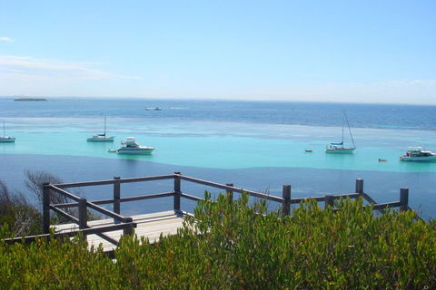 Rottnest Bayseeker Bus Tour From Hillarys Boat Harbour - Pubs Melbourne 3