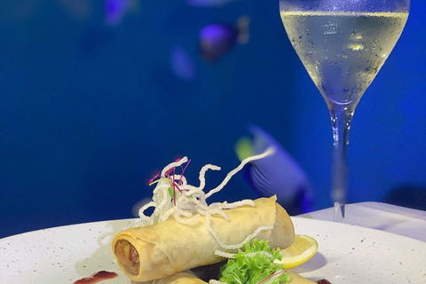 Cairns Aquarium And Small Group City Sightseeing Tour - Pubs Melbourne 5