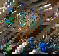 Cairns Shore Excursion Cairns City Sights  Surrounds Tour - Pubs Melbourne