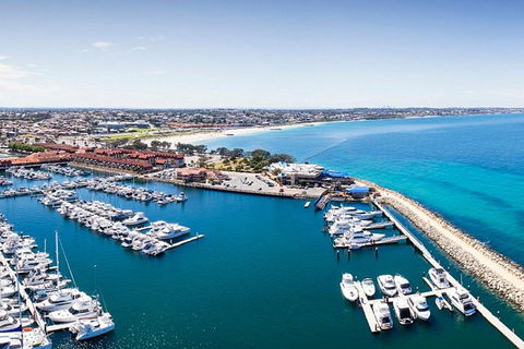 Snorkel With Sharks At AQWA - Pubs Melbourne 3