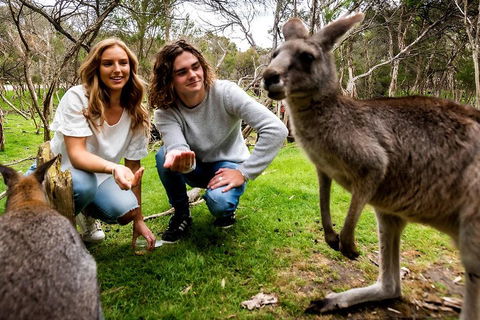 Moonlit Sanctuary Wildlife Conservation Park Daytime General Entry Ticket - Pubs Melbourne 2