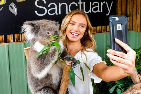 Moonlit Sanctuary Wildlife Conservation Park Daytime General Entry Ticket - Pubs Melbourne 4