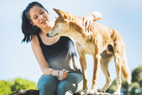 Moonlit Sanctuary Wildlife Conservation Park Daytime General Entry Ticket - Pubs Melbourne 5