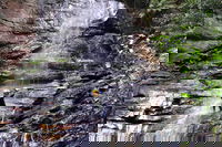 Full-Day Canyoning Experience at Stunning Empress Canyon, Bowenfels