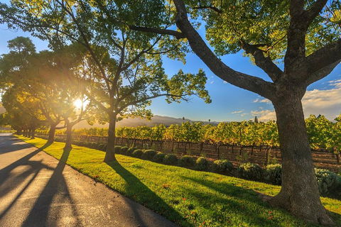 Very Best Of Perth Tour - Wildlife Park & City Highlights Tour - Pubs Melbourne 2