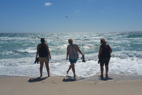 Very Best Of Perth Tour - Wildlife Park & City Highlights Tour - Pubs Melbourne 5