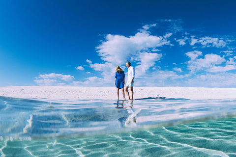4-Day Coastal Loop Via Monkey Mia Wild Dolphins Kalbarri Pinnacles Perth Return - Pubs Melbourne 0