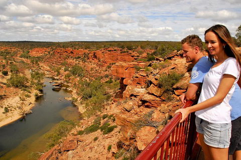 4-Day Coastal Loop Via Monkey Mia Wild Dolphins Kalbarri Pinnacles Perth Return - Pubs Melbourne 3