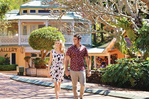 Sunshine Coast Hinterland Rainforest, Views And Montville Day Tour Inc. Lunch - Pubs Melbourne 4