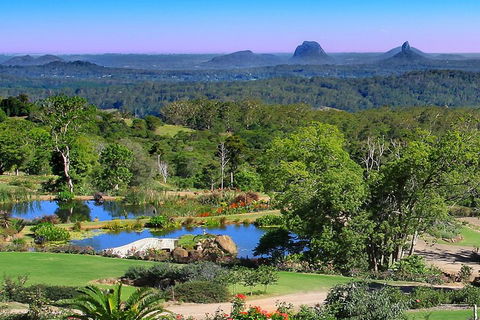 Sunshine Coast Hinterland Rainforest, Views And Montville Day Tour Inc. Lunch - Pubs Melbourne 5