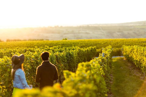 Margaret River Private Tour - Pubs Melbourne 2