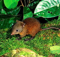 3-Day Small-Group Tour of North Queensland with Pick Up - Pubs Melbourne