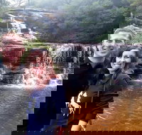 Private Blue Mountains Day Tour including Wildlife Park - Pubs Melbourne