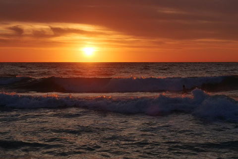 Australian Animals, Seascape And Sunset Photography Tour - Pubs Melbourne 5