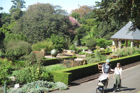 Private City Walking Tour From Your Hotel - Pubs Melbourne 1