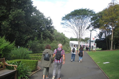 Private City Walking Tour From Your Hotel - Pubs Melbourne 3