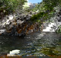 Behana Canyon Rainforest and Waterfall Experience - Pubs Melbourne