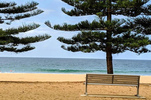 Manly & Sydney's Northern Beaches With 'Personalised Sydney Tours' - Pubs Melbourne 0