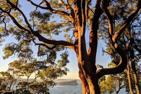 Manly & Sydney's Northern Beaches With 'Personalised Sydney Tours' - Pubs Melbourne 4