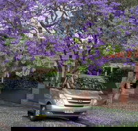 Sydney Secrets  Bondi Beach Private 4 Hr Morning with Personalised Sydney Tours - Pubs Melbourne