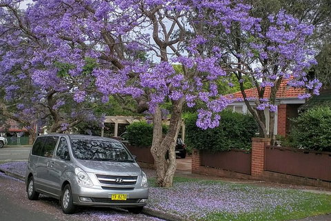 Sydney Secrets & Bondi Beach Private 4 Hr Morning With Personalised Sydney Tours - Pubs Melbourne 0