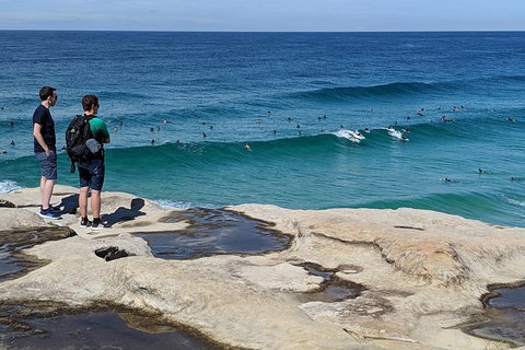 Sydney Secrets & Bondi Beach Private 4 Hr Morning With Personalised Sydney Tours - Pubs Melbourne 2