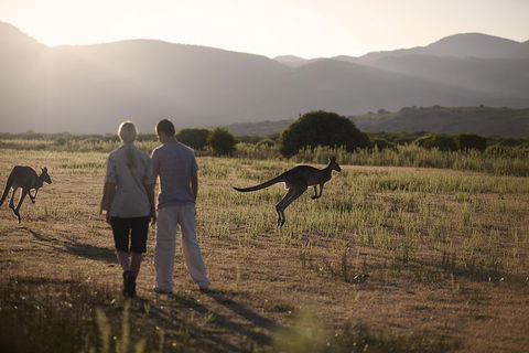 Overnight Daylesford And Macedon Ranges Gourmet Food Trail Tour From Melbourne - Pubs Melbourne 1