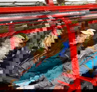 Blue Mountains Ultimate One-Day Tour - Pubs Melbourne