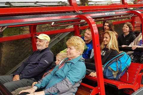 Blue Mountains Ultimate One-Day Tour - Pubs Melbourne 0