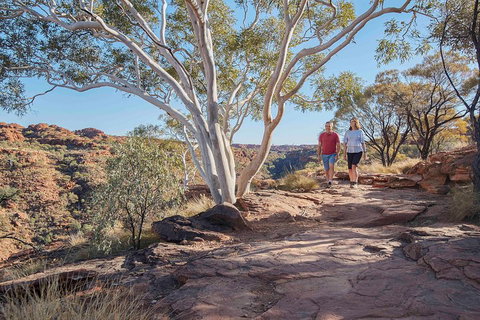 3-Day Tour From Uluru (Ayers Rock) To Alice Springs Via Kings Canyon - Pubs Melbourne 1