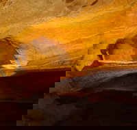 From the Mountains to the Bay - 4 Day Rediscovery Small Group Tour - Pubs Melbourne