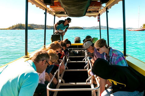 Airlie Beach Glass Bottom Boat Tour - Pubs Melbourne 1