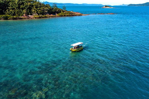 Airlie Beach Glass Bottom Boat Tour - Pubs Melbourne 4