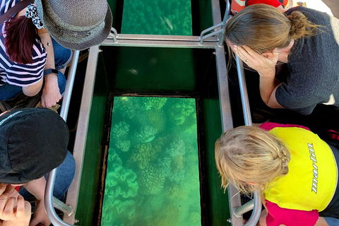 Airlie Beach Glass Bottom Boat Tour - Pubs Melbourne 5