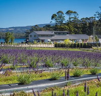 Private Hobart Discover South East Food and Scenic Tour - Pubs Melbourne