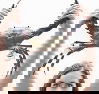 The Ultimate Gold Coast Attractions Pass - Pubs Melbourne