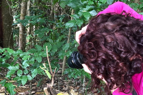 Let's Go Buggin & Let's Go Shroomin - Photography & Nature Walking Tours - Pubs Melbourne 1