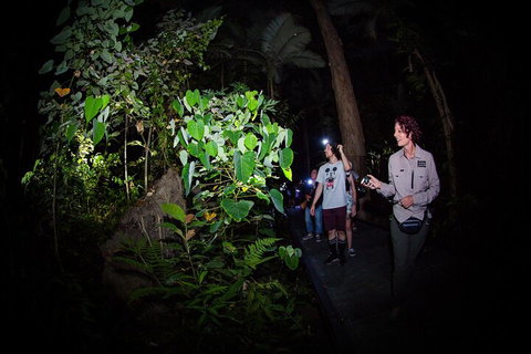 Let's Go Buggin & Let's Go Shroomin - Photography & Nature Walking Tours - Pubs Melbourne 4