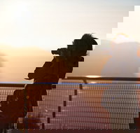 Private Day Trip at the Blue Mountains - Pubs Melbourne